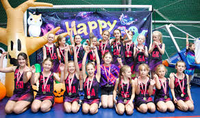 Image result for Treforus Netball Club