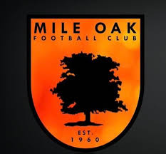 Image result for Haywards Heath Town Ladies Football Club