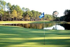 Image result for Dolphina Gc