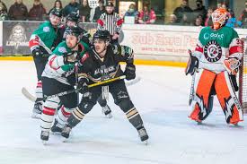 Image result for Basingstoke Bison Ice Hockey Club