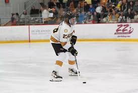 Image result for Adur Skater Hockey Club