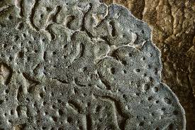 Attēlu rezultāti vaicājumam “Didymium serpula”