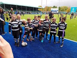 Image result for Royston Rufc