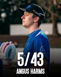 Image result for Read Cricket & Bowling Club