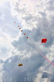 Image result for Brighton Kite Fliers