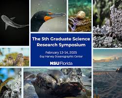 Image result for Hypanus say