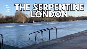 Image result for Serpentine Swimming Club