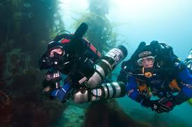 Image result for Headstream Divers
