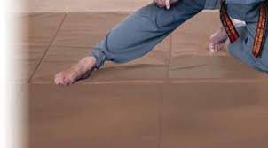 Image result for John Godwin's Hamilton Martial Arts