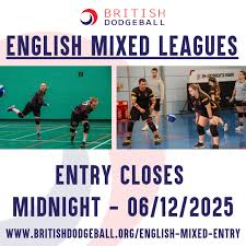 Image result for Harborough Junior Dodgeball Club