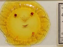 Attēlu rezultāti vaicājumam “Conistra rubiginea”