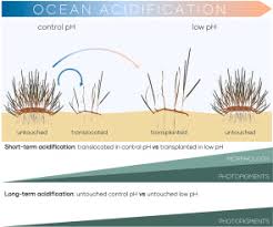 Image result for Unsworth Cc