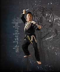 Image result for Moo Sool Academy