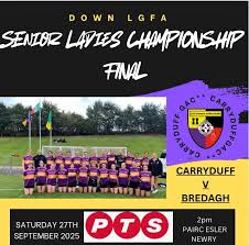Image result for Carryduff Gaelic Athletic Club