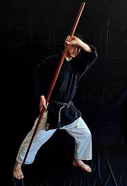 Image result for Kyo Rioku Jutsu