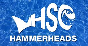 Image result for Hastings Seagulls Swimming Club