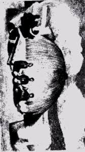 Image result for paranoid critical method"