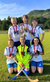 Image result for Lochcarron Camanachd