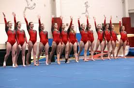 Image result for Mk Springers Gymnastics Club