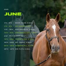 Image result for Kirtlington Park Polo Club