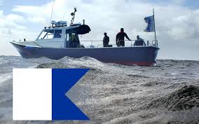 Image result for Peninsula Sub Aqua