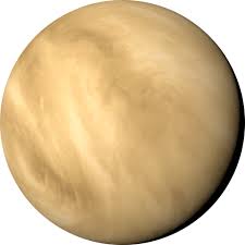 Image result for venus