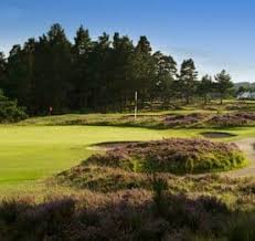 Image result for Abernethy Golf Club