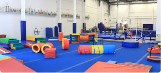 Image result for Weston Aerobic Gymnastics