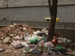 Image result for Bangalore Garbage