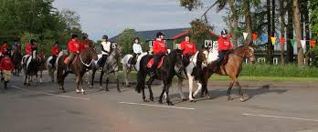 Image result for Scottish Equi Complex