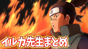 「うみのイルカ」の画像検索結果