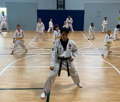 Image result for Professional  Martial Arts Academy