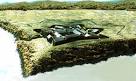 File:Fort Duquesne.jpg - Wikipedia, the free encyclopedia