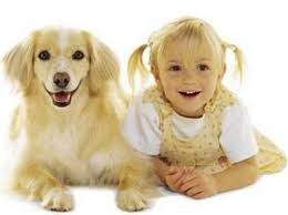  Canine Breeds