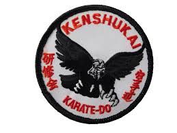 Image result for Kenshukai Karate