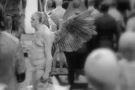 Image result for van vuuren theron