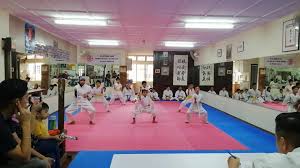 Image result for Shitokai Karate Club