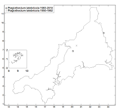 Attēlu rezultāti vaicājumam “Plagiothecium latebricola macro”