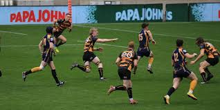 Image result for Effingham and Leatherhead Rfc