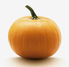 Image result for Kürbis