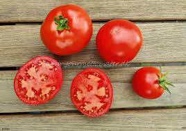 Afbeeldingsresultaat voor earliana tomato