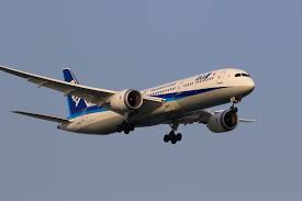 Image result for ana