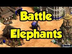 Image result for Elite Fighting Systems, Elephant & Castle