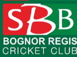 Image result for Bere Regis Cricket Club