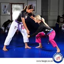 Image result for Fighting Arts Organisation of Great Britain