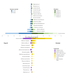 Attēlu rezultāti vaicājumam “Arcyria incarnata young”