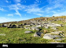 Image result for bodmin moor