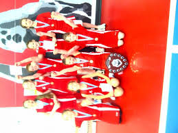 Image result for Red Dragon Netball Team