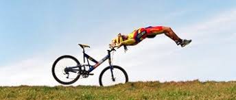 Image result for biker fox