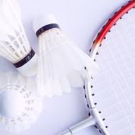 Image result for Dartmouth Badminton Club